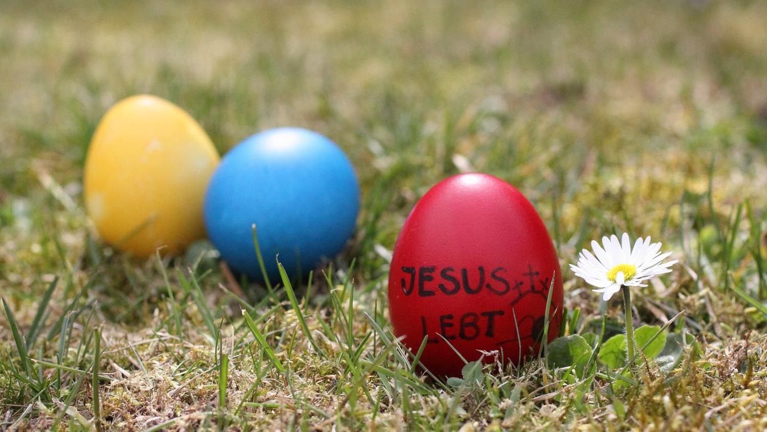 Drei Ostereier neben einer Blume auf einer grünen Wiese; auf dem vorderen roten Osterei steht 'Jesus lebt.'